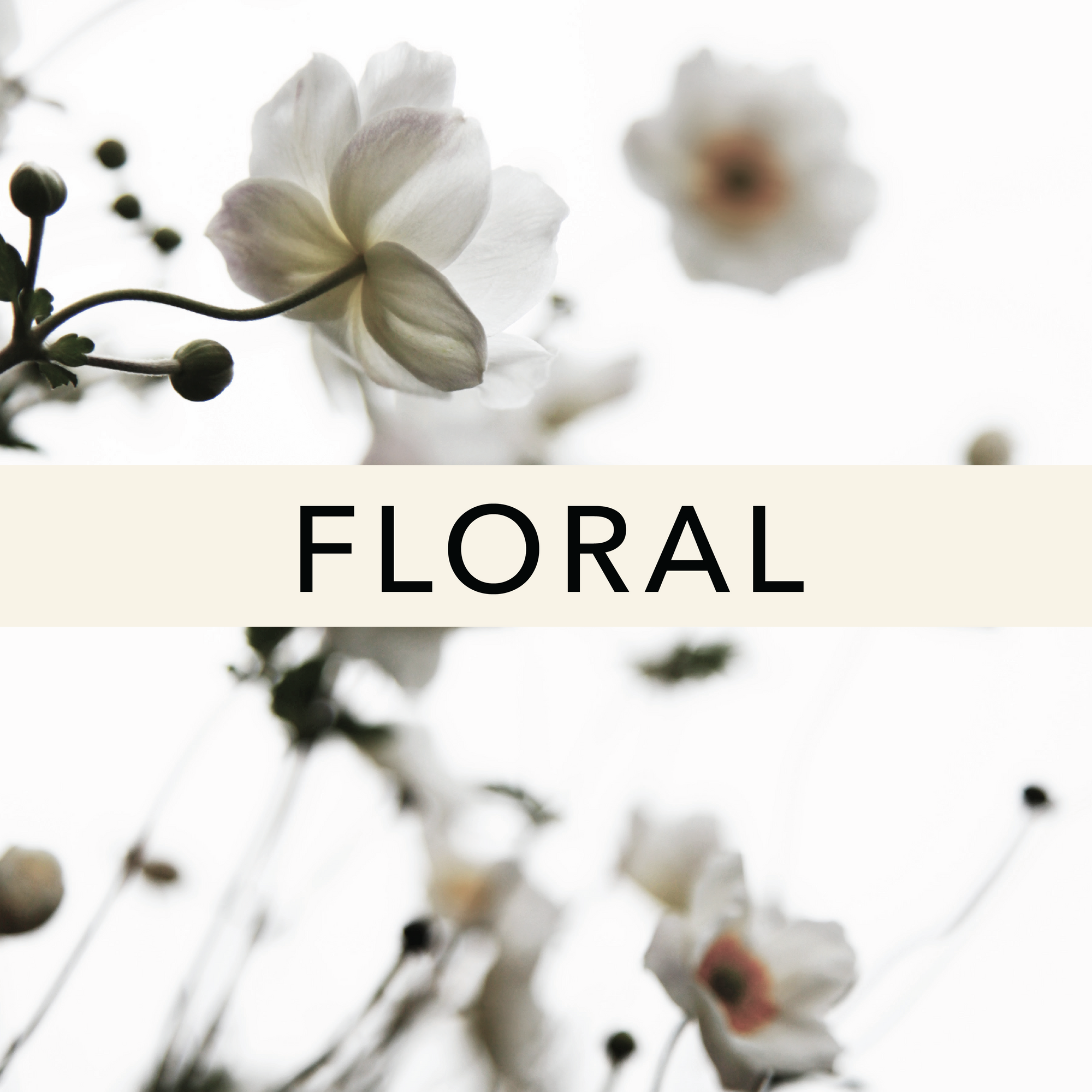 30 mL Bath & Body Oils - Floral Fragrances