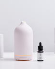 15 mL Home Perfume Oils