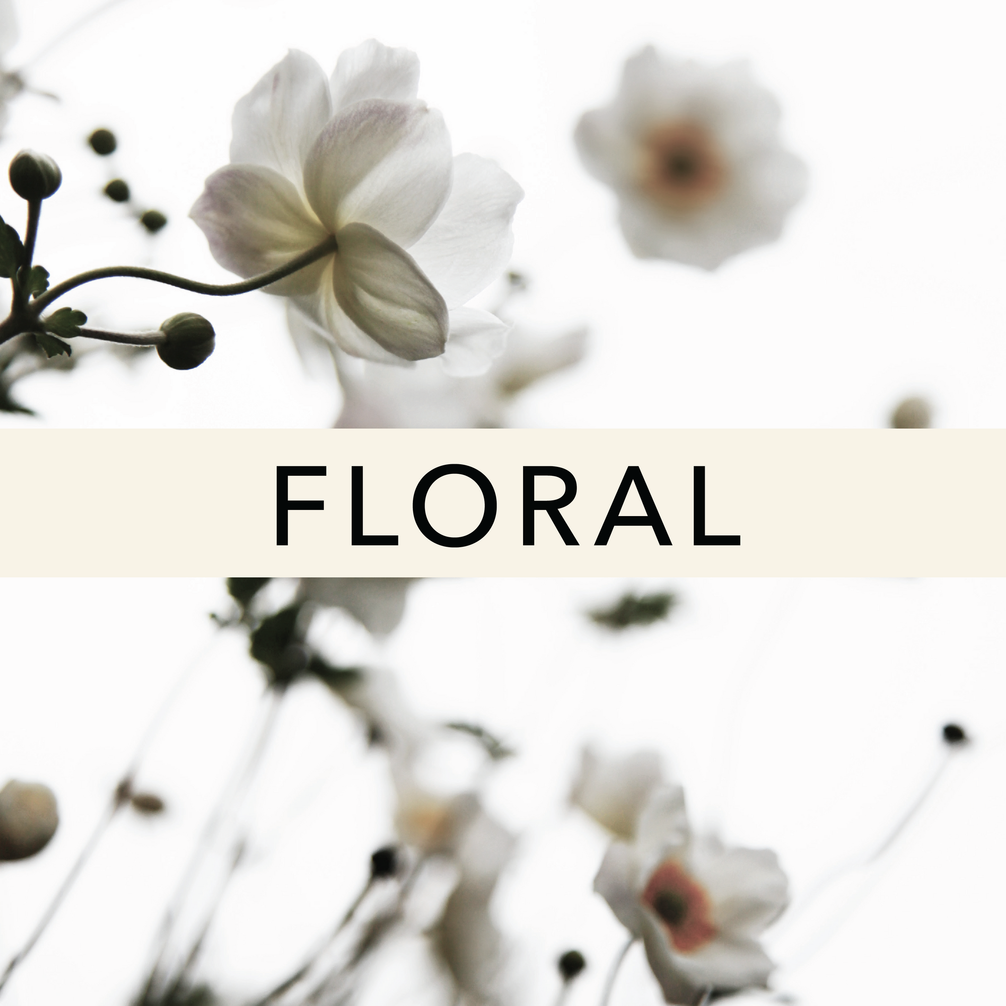 Floral Fragrances