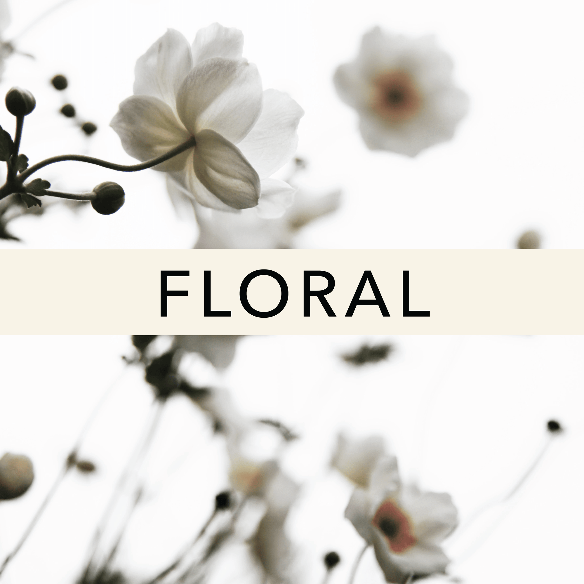 Floral Fragrances - The Perfume Oil Company