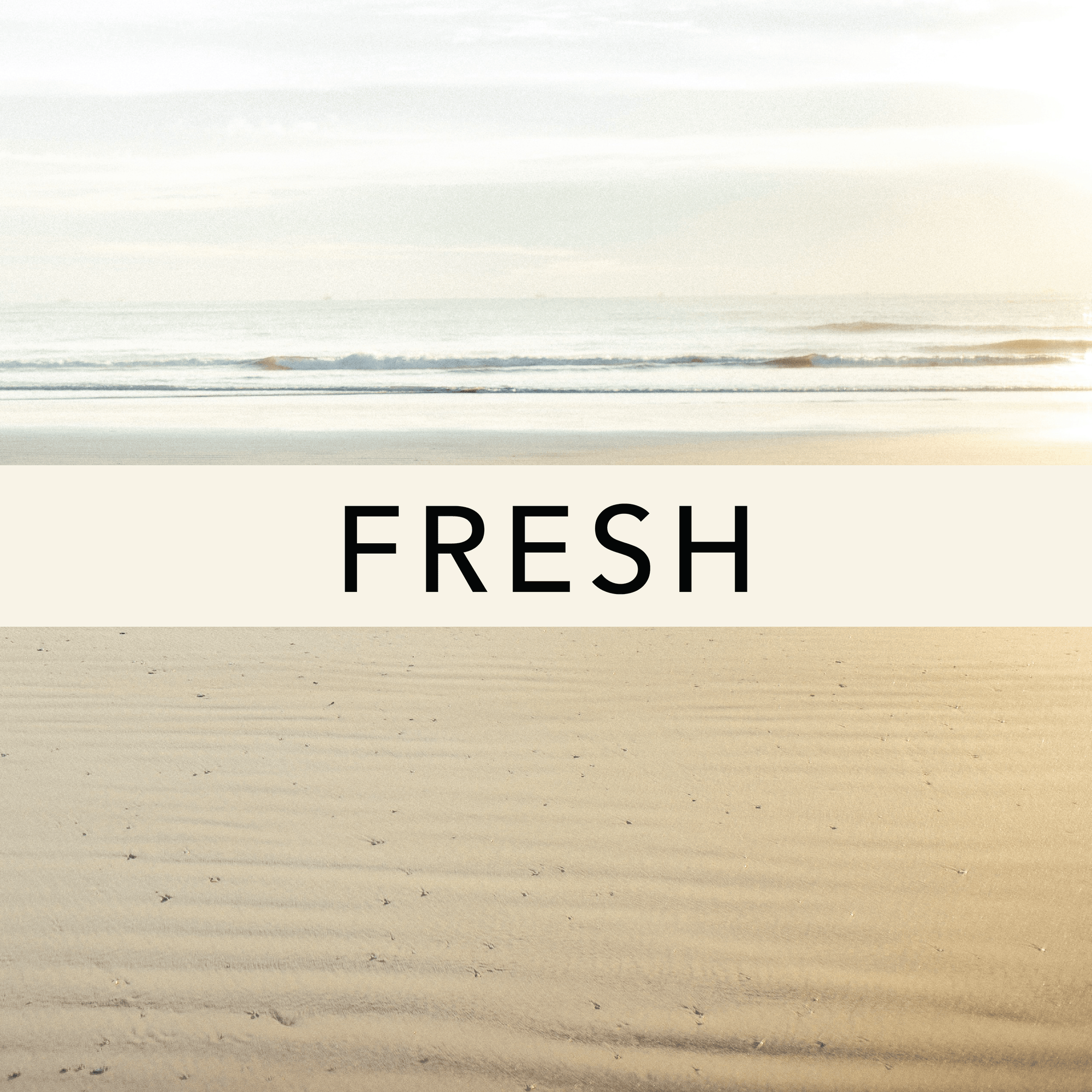 Fresh Fragrances - The Perfume Oil Company